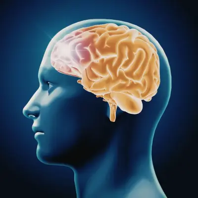 AKIL ZEKA OYUNLARI VE SATRANÇ EĞİTMENLİĞİ EĞİTİMİ